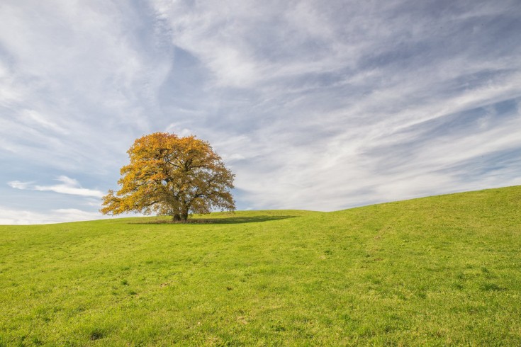 herbst_im_allgaeu_(6)