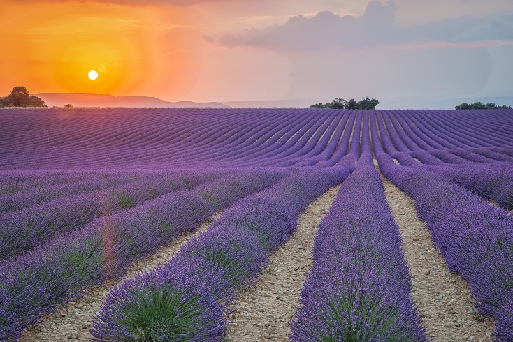 provence_2018_1600_01