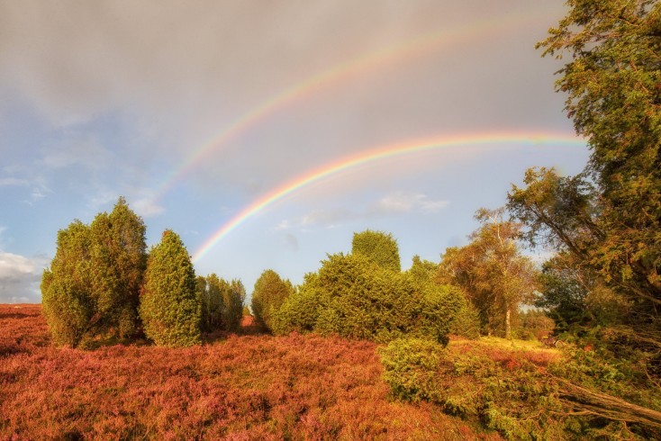 lueneburger_heide_2017_26